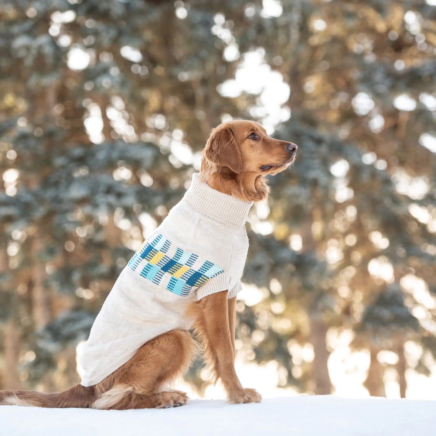 Winter Sailor Dog Sweater - Oatmeal Mix