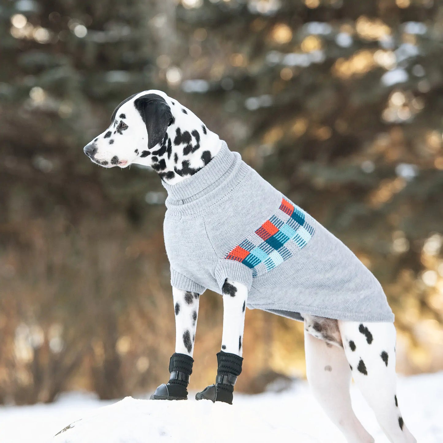 Winter Sailor Dog Sweater - Grey Mix