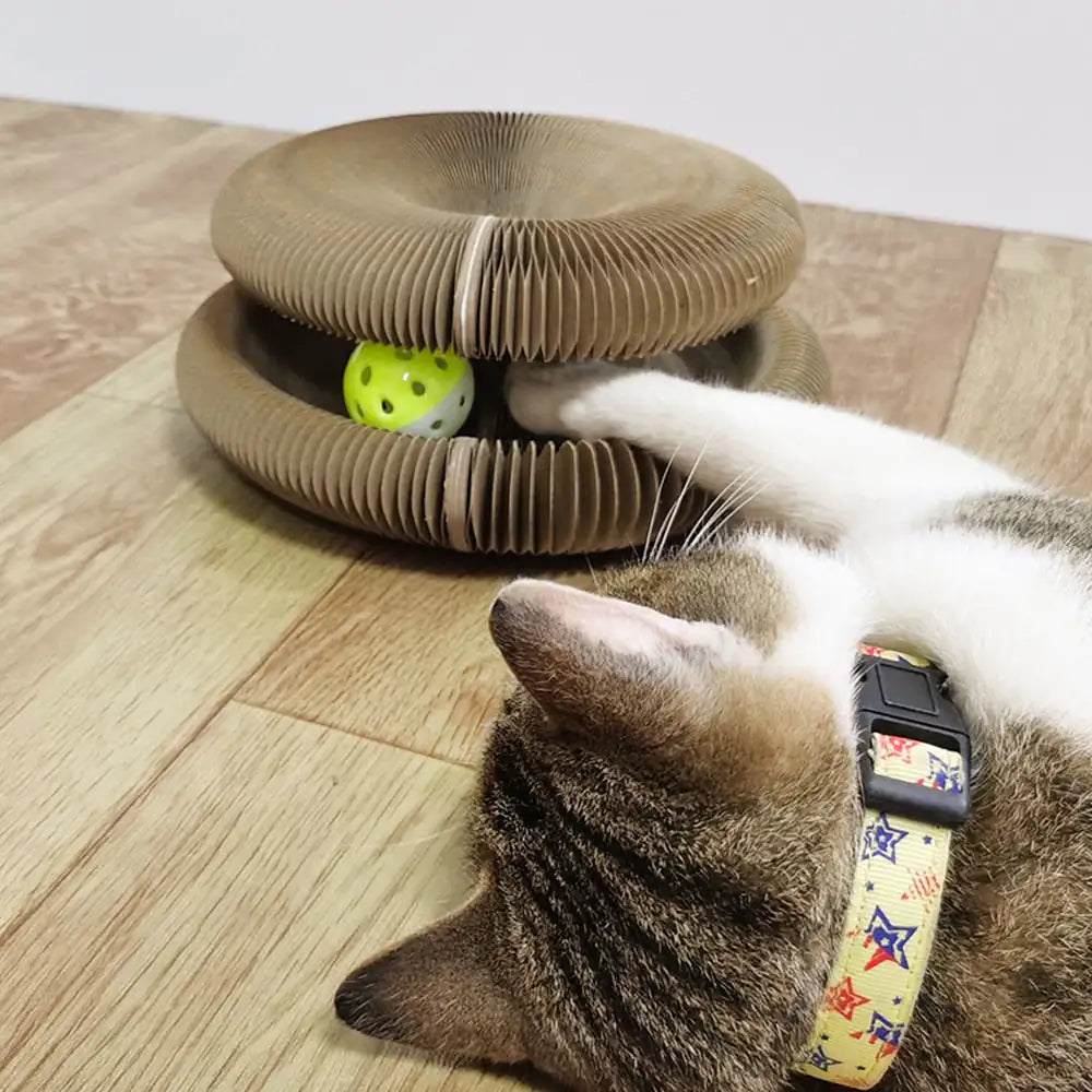 PawPals™ Cordion