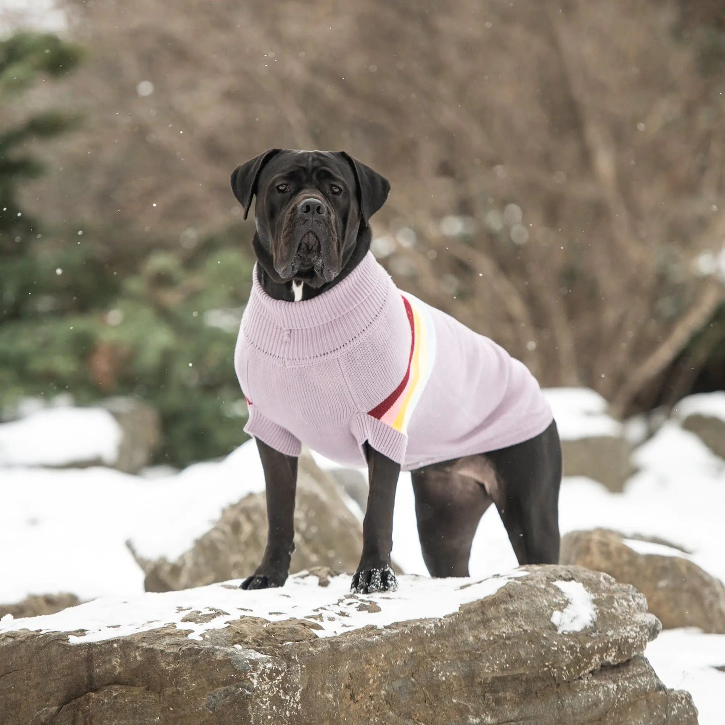 Retro Dog Sweater - Lavender
