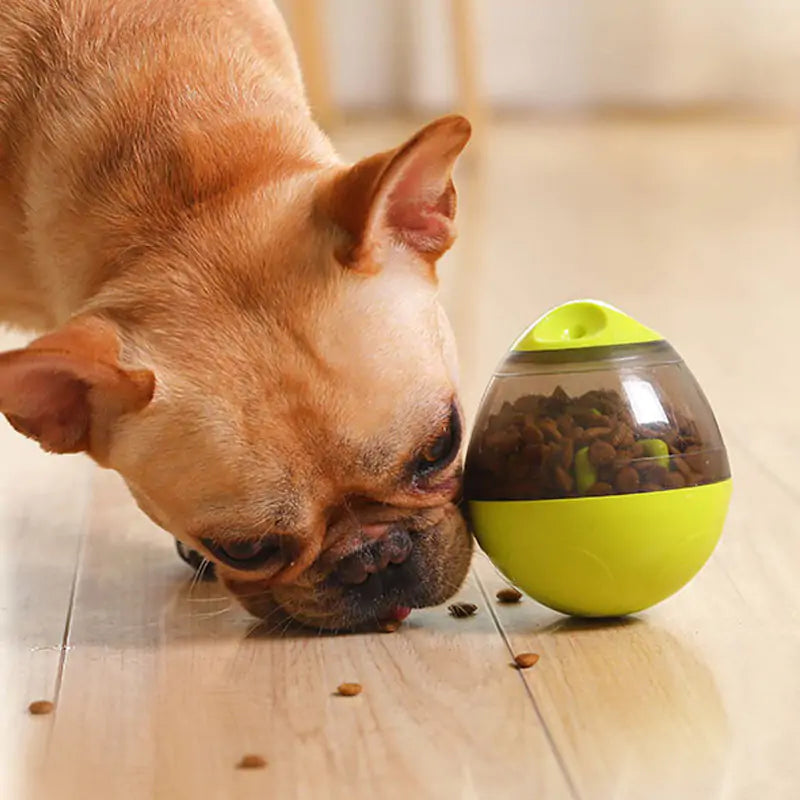 Pets IQ Treat Toy