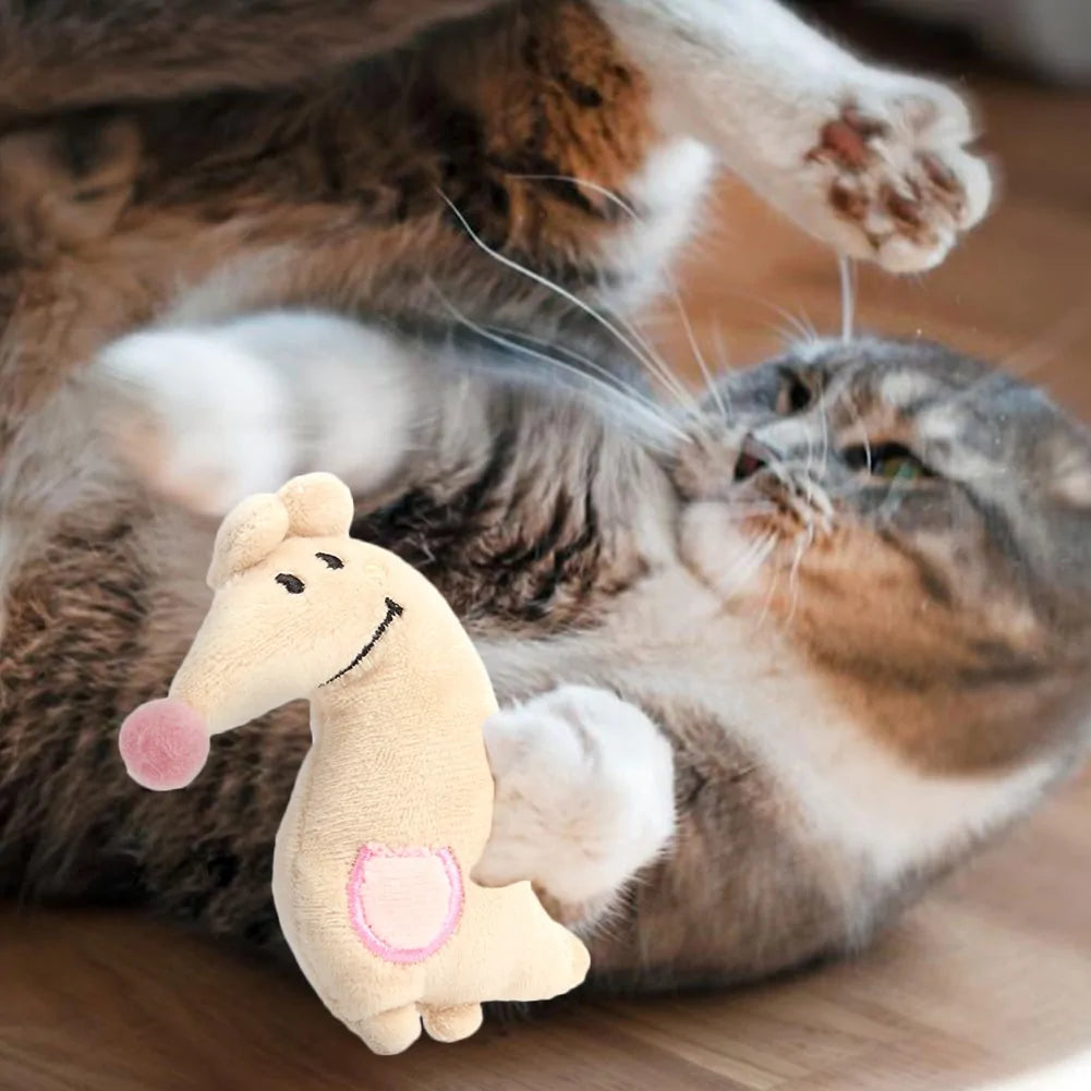 Cat Toy