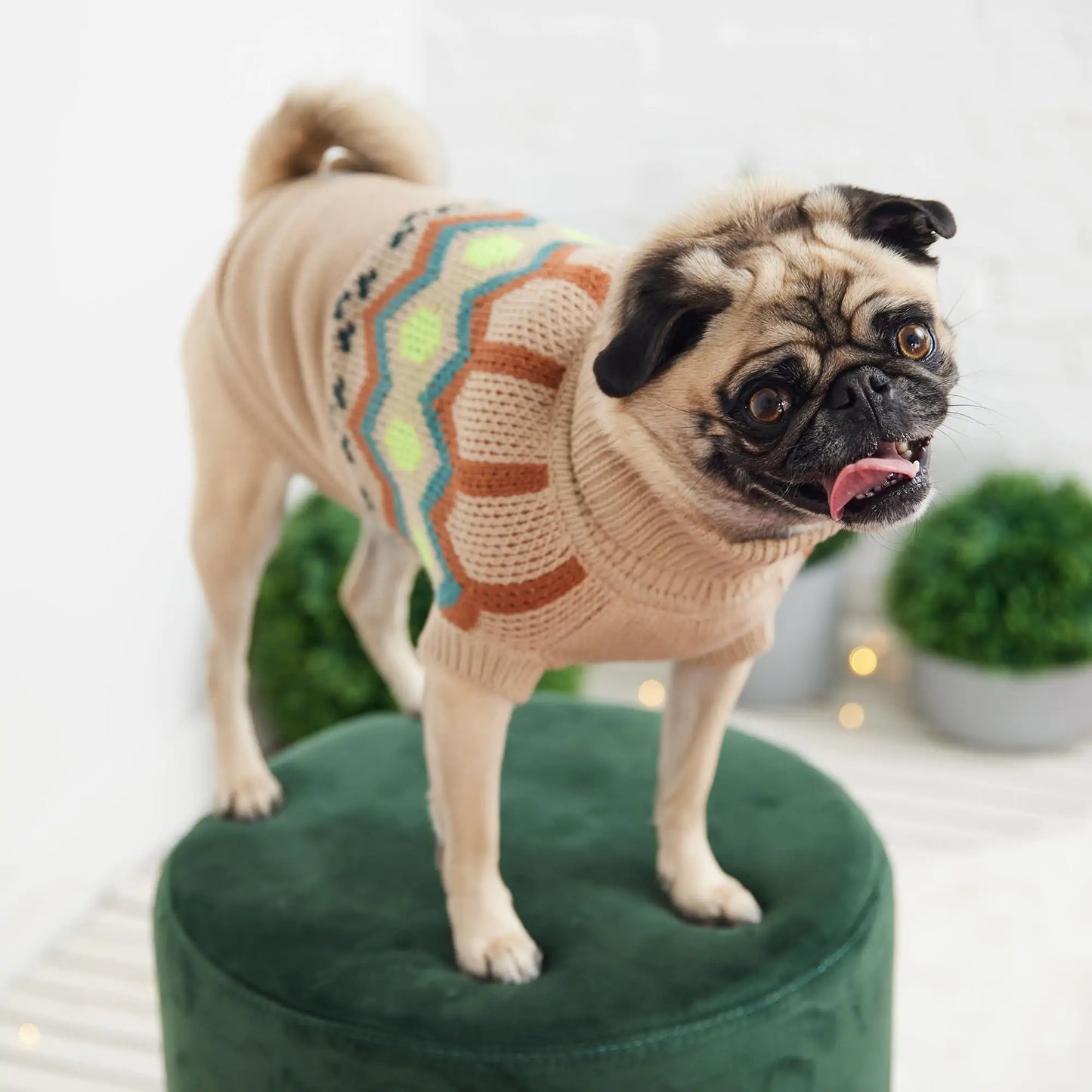 Heritage Dog Sweater - Sand
