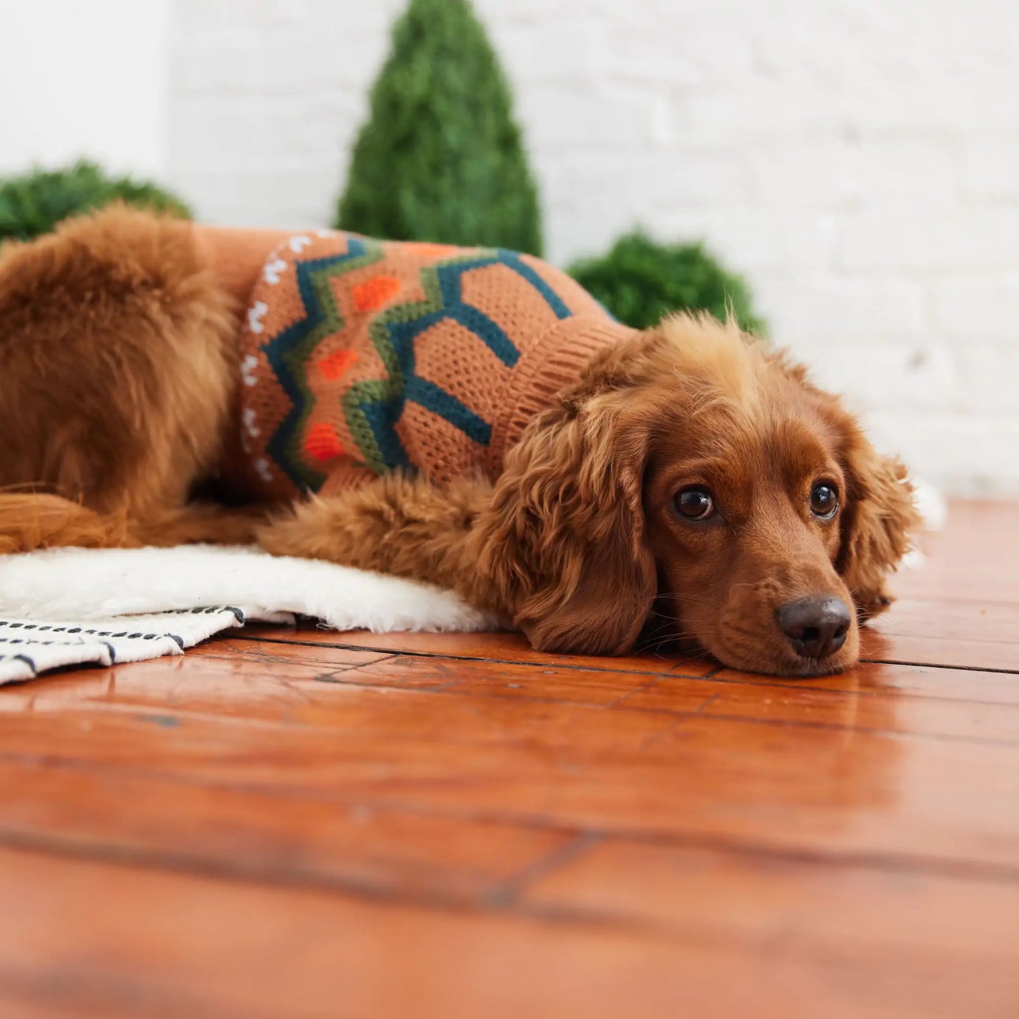 Heritage Dog Sweater - Hazel