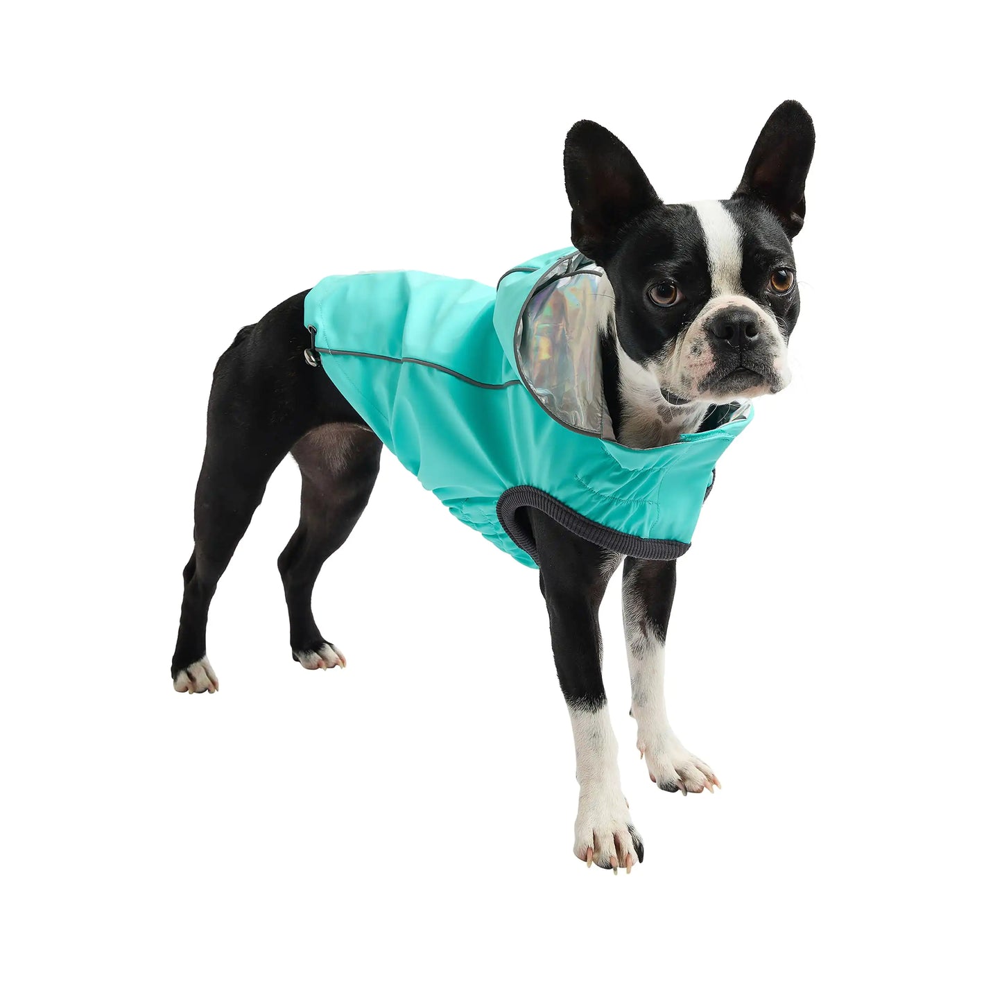 Reversible Dog Raincoat - Neon Aqua with Iridescent