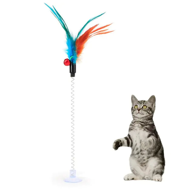 Cat Toys