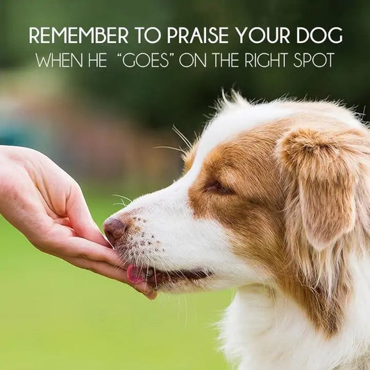 SelfCoach Pet Potty Training Spray