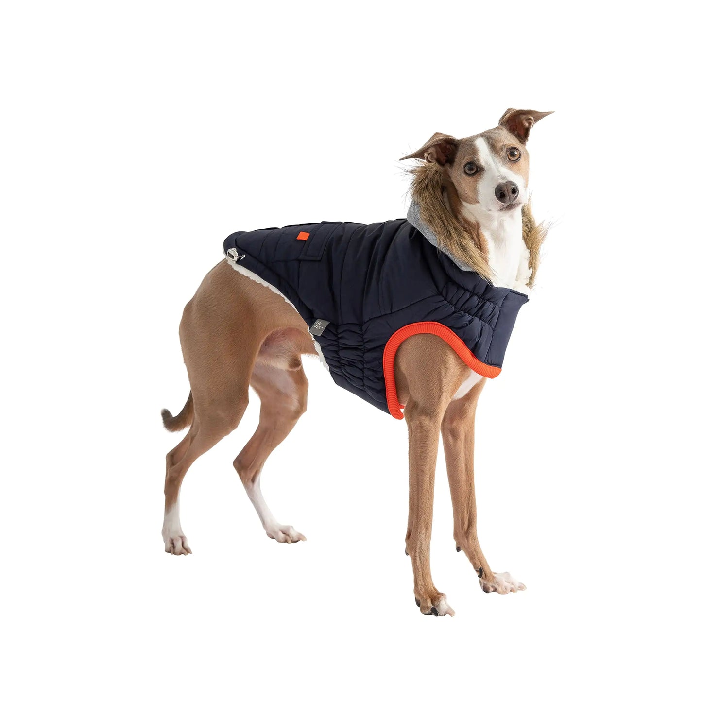 Winter Sailor Parka Dog Coat - Navy