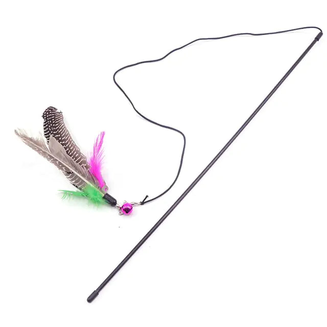 Cat Toys