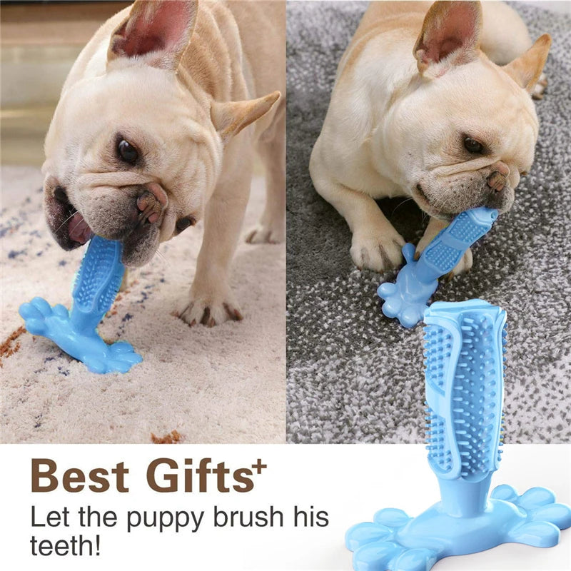 Dog's Dental Hygiene Chew Toy Dispenser