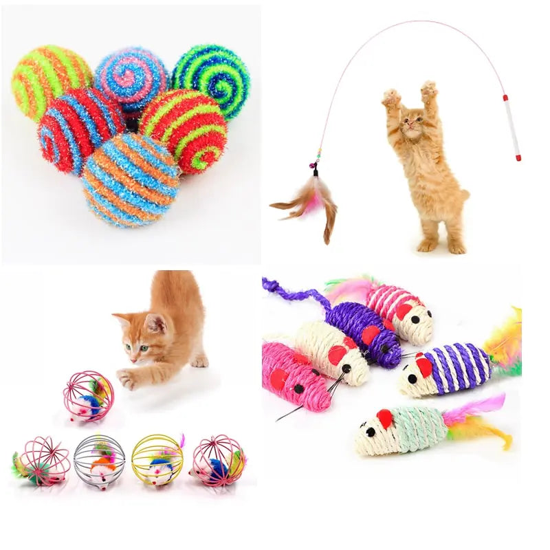 Cat Toys