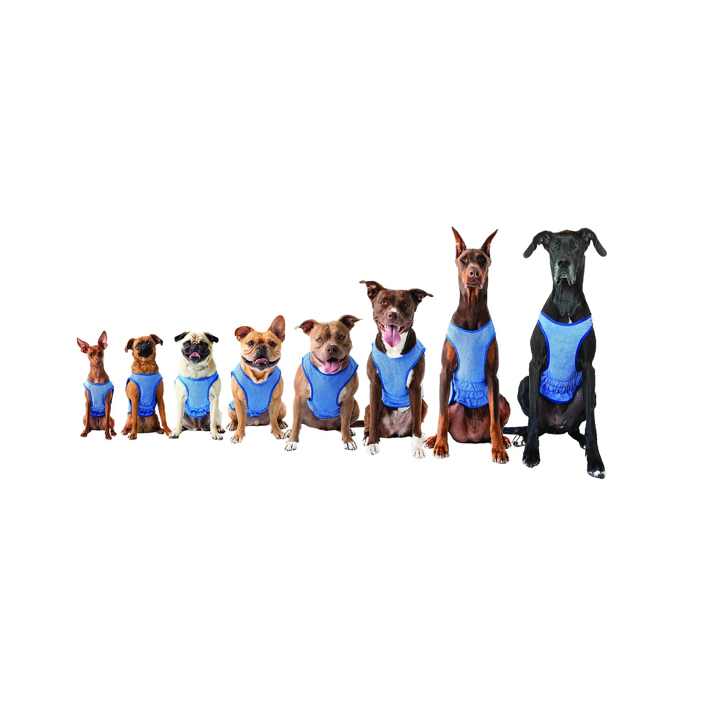 Dog Elasto-Fit Ice Vest