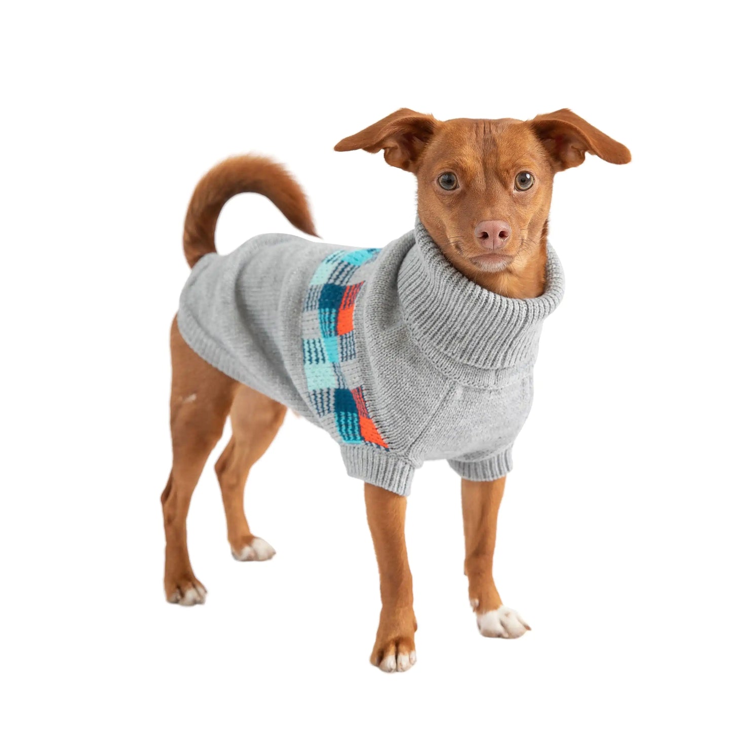 Winter Sailor Dog Sweater - Grey Mix