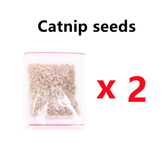 Fresh Sprout Seedling Tray Set