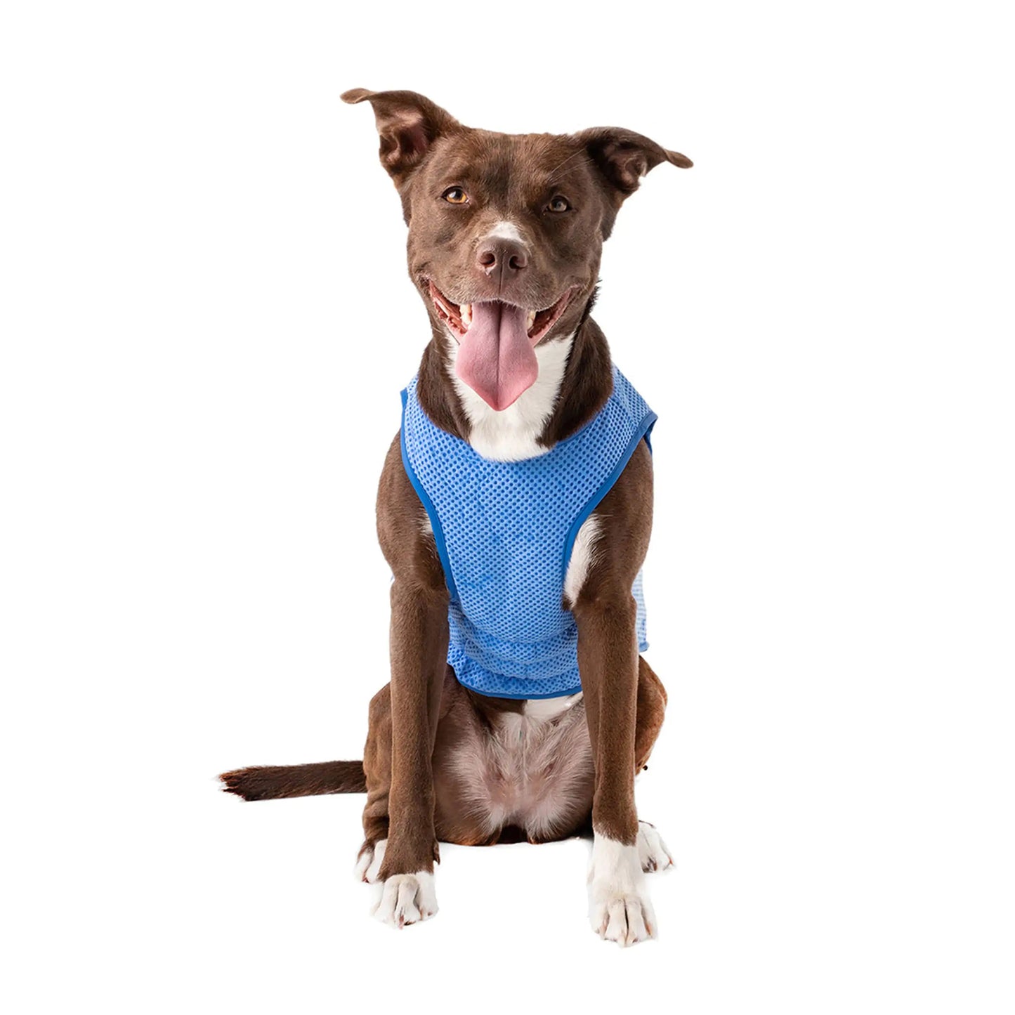 Dog Elasto-Fit Ice Vest