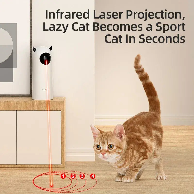 Cat Smart Laser Play