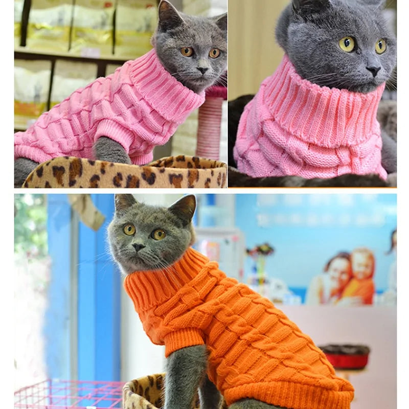 Spring / Autumn Pet Clothes