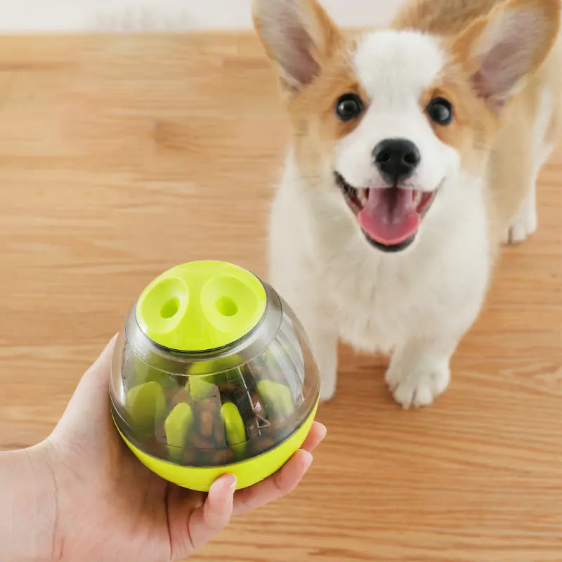 Pets IQ Treat Toy