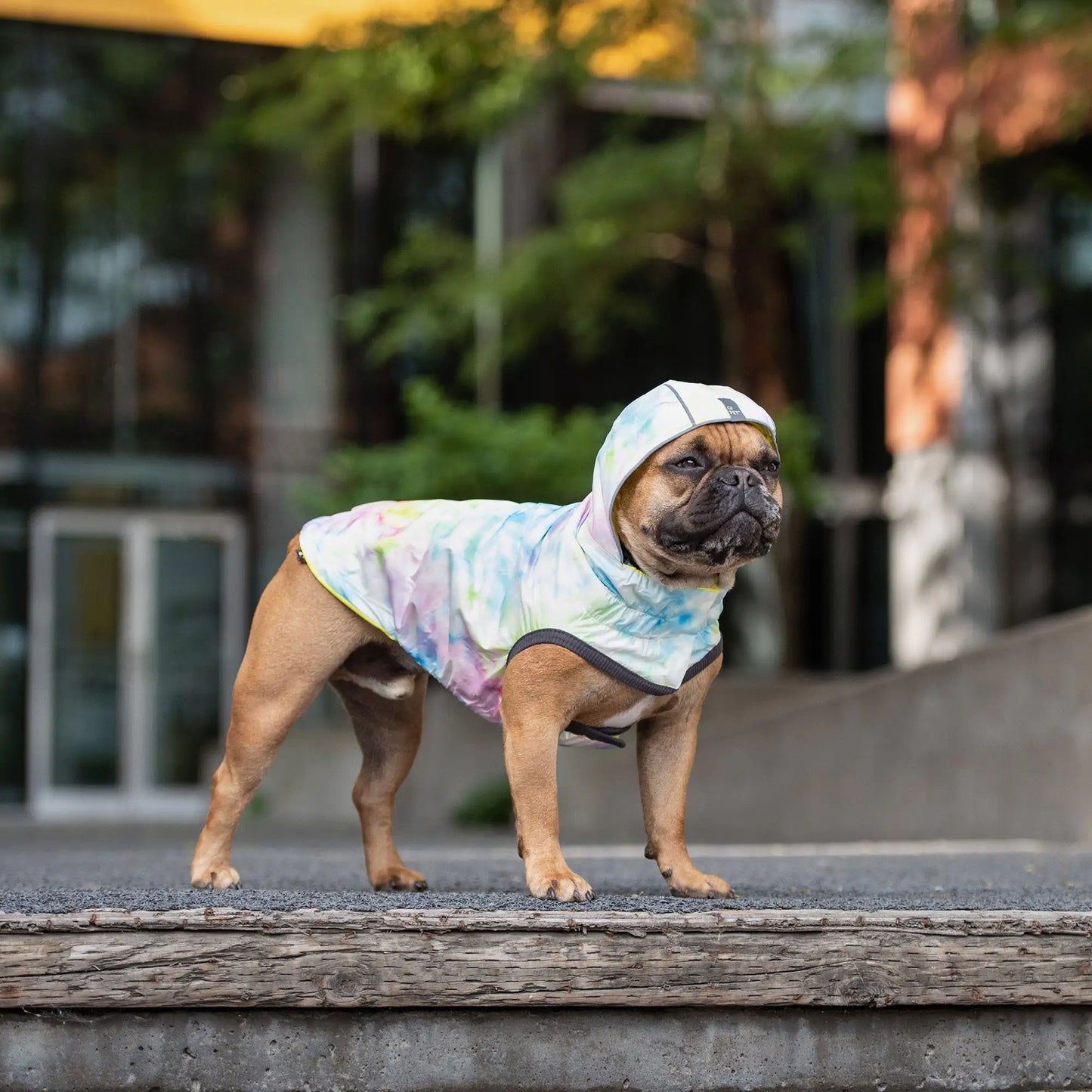 Reversible Dog Raincoat - Neon Aqua with Iridescent