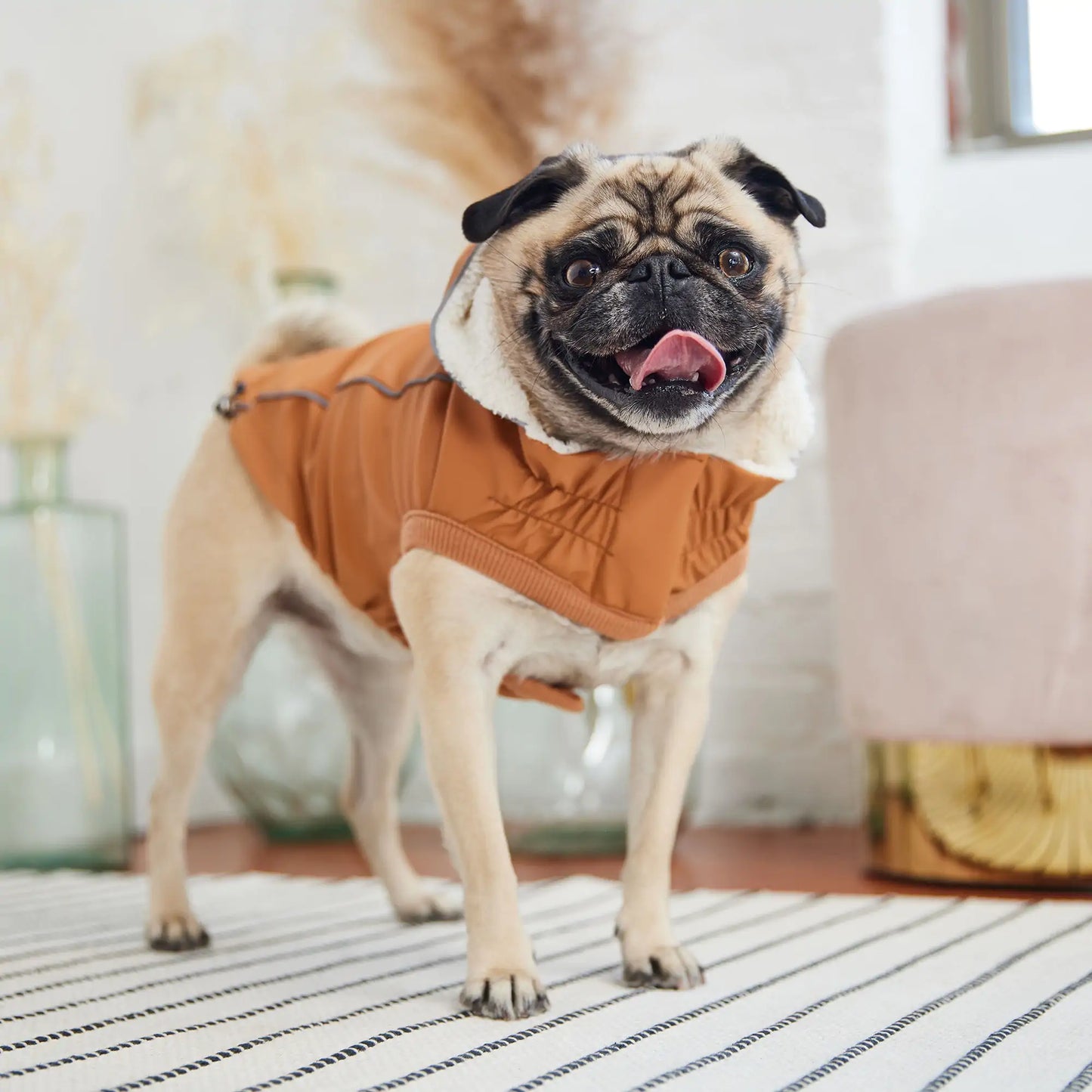 Insulated Raincoat - Hazel