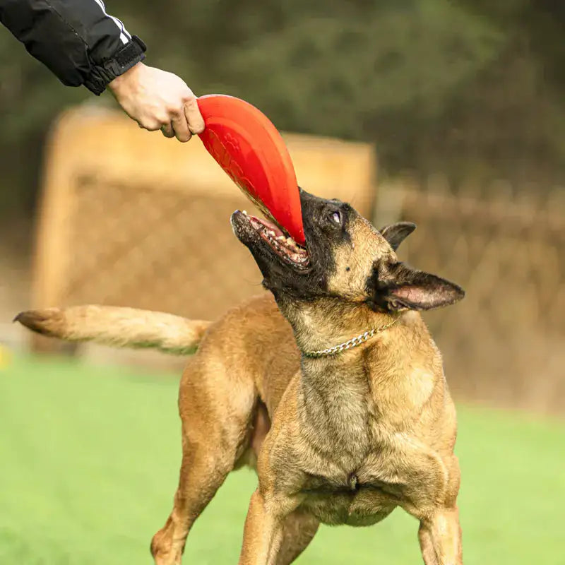 Dog Rubber Flying Disc Toy