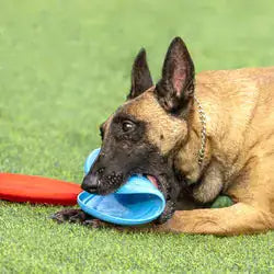 Dog Rubber Flying Disc Toy