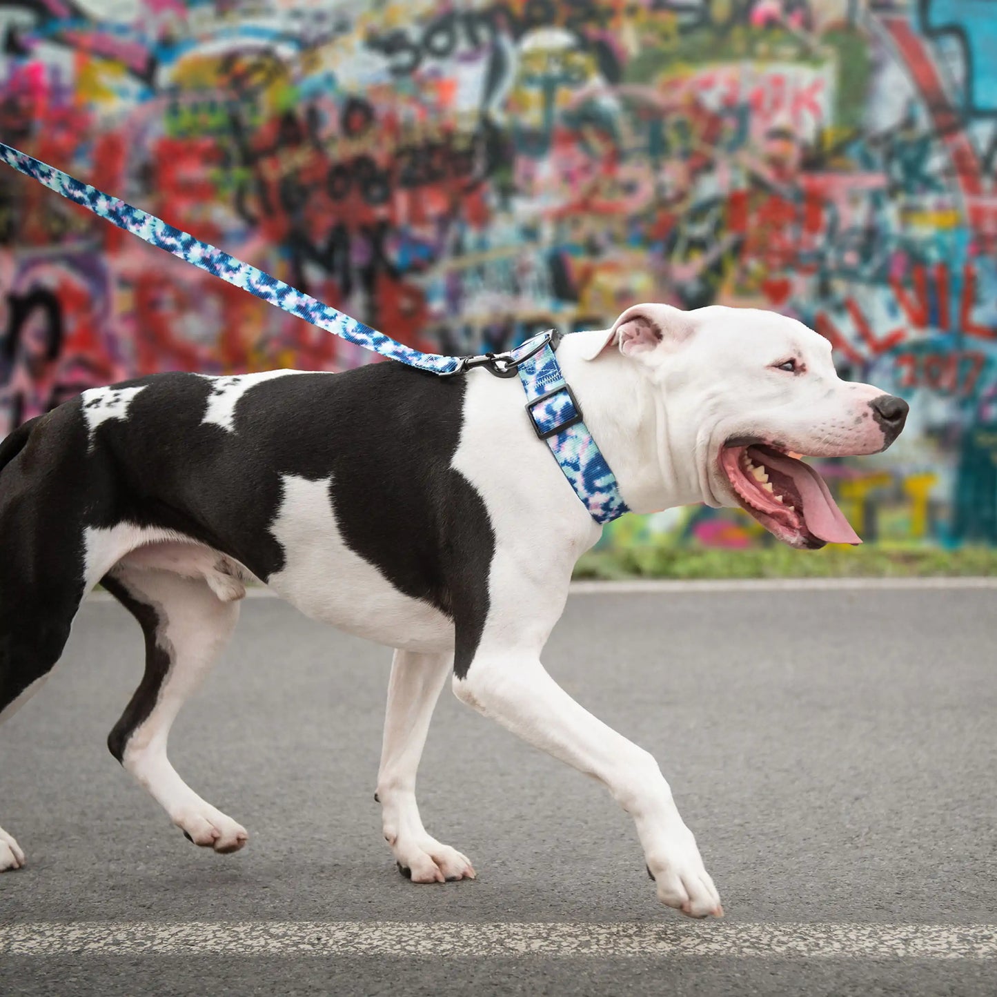 Printed Dog Collar - Tie Dye