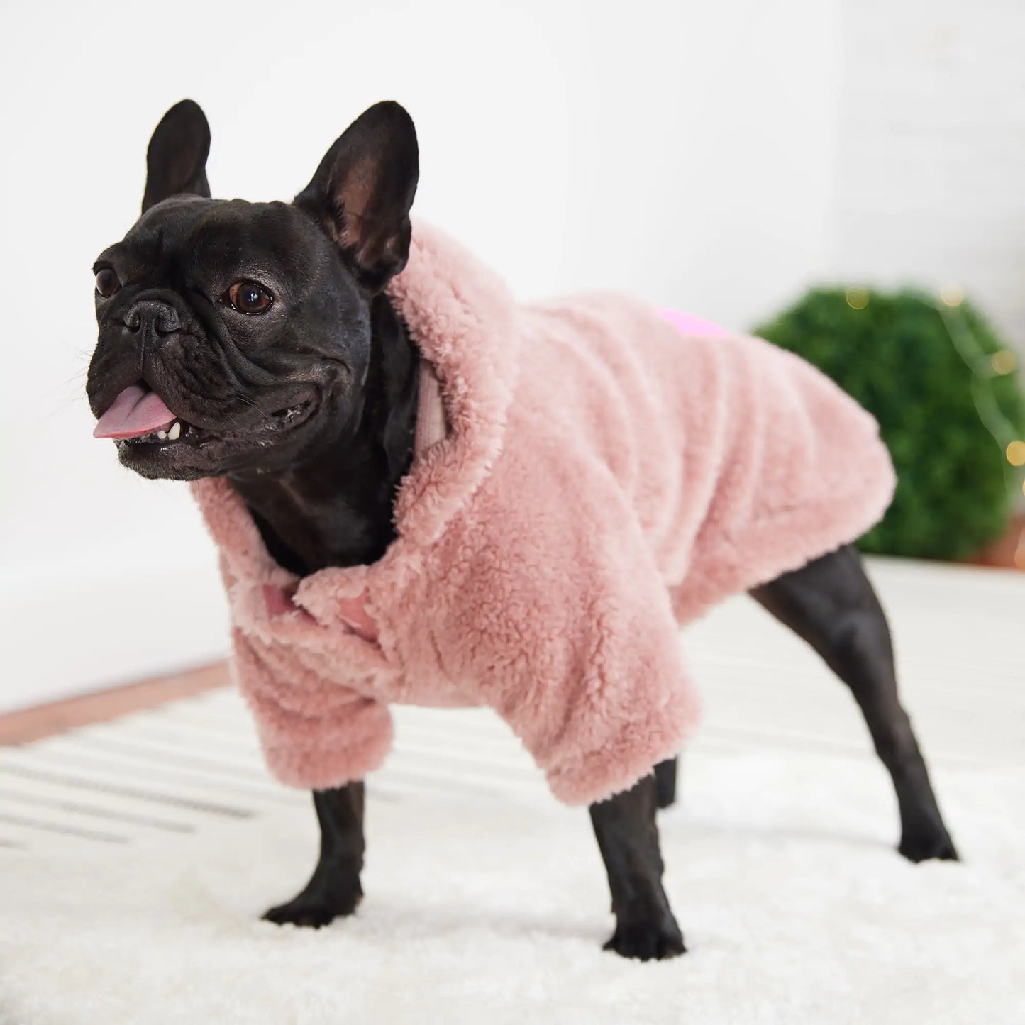 Cozy Dog Hoodie - Pink