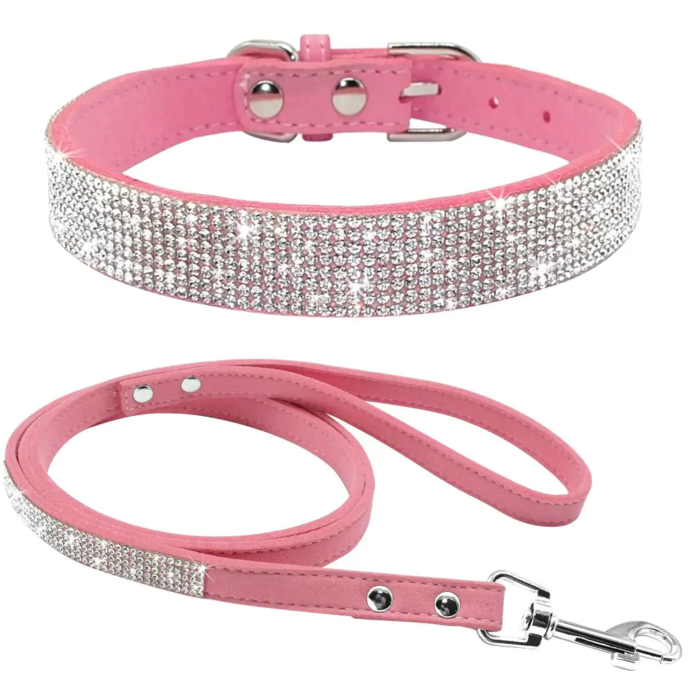 2 In 1 Pet Collar Leash Set