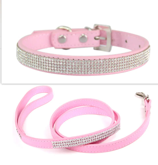 2 In 1 Pet Collar Leash Set