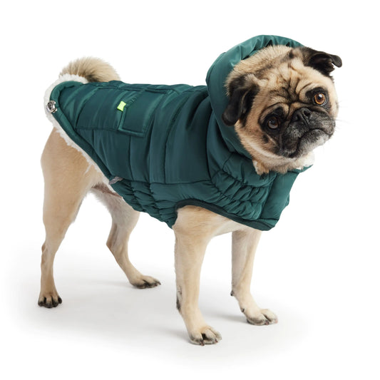Super Puff Parka Dog Jacket - Teal