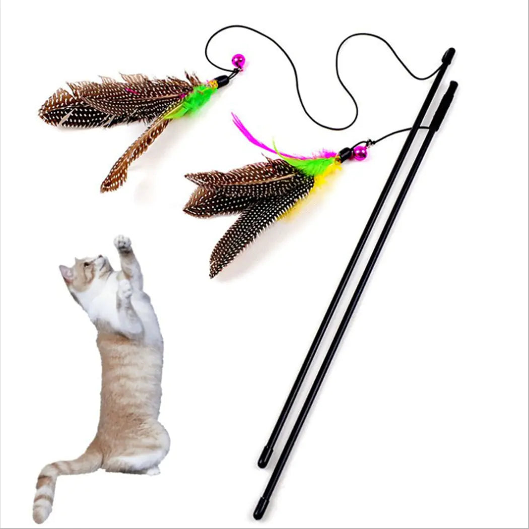 Cat Toys