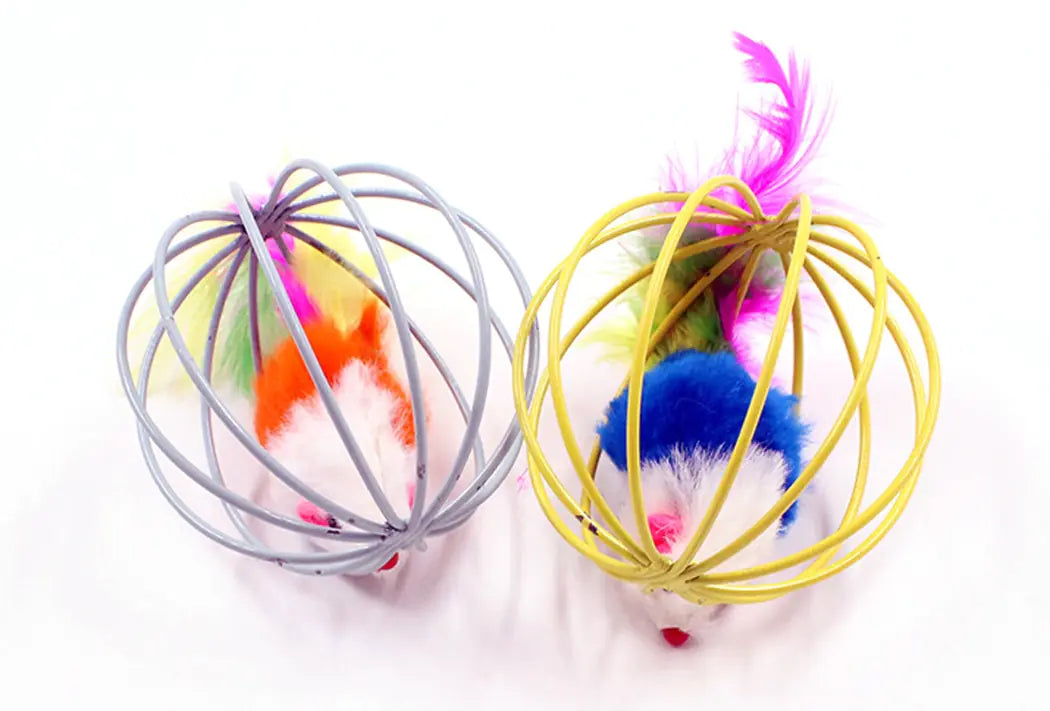 Cat Toys
