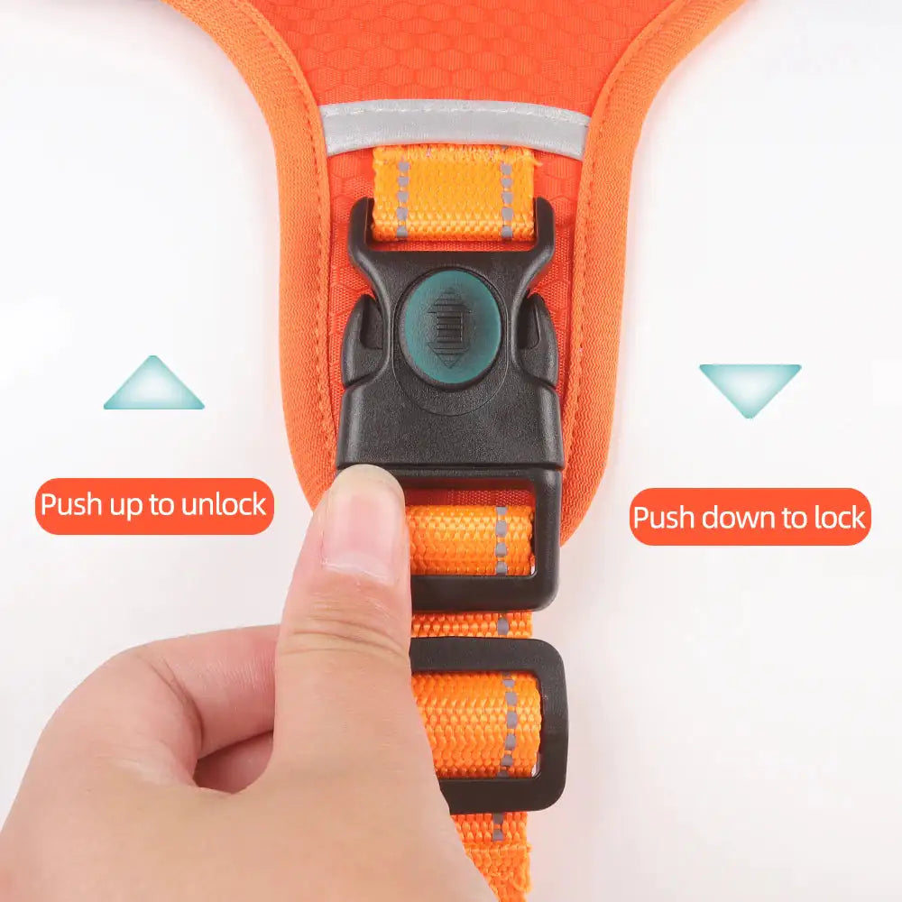 Reflectride Dog Harness