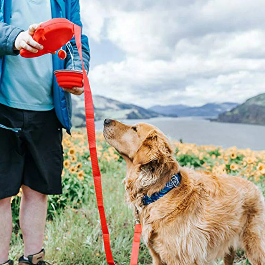 Retractable Dog Leash and Built-in Water Dispenser and Bowl