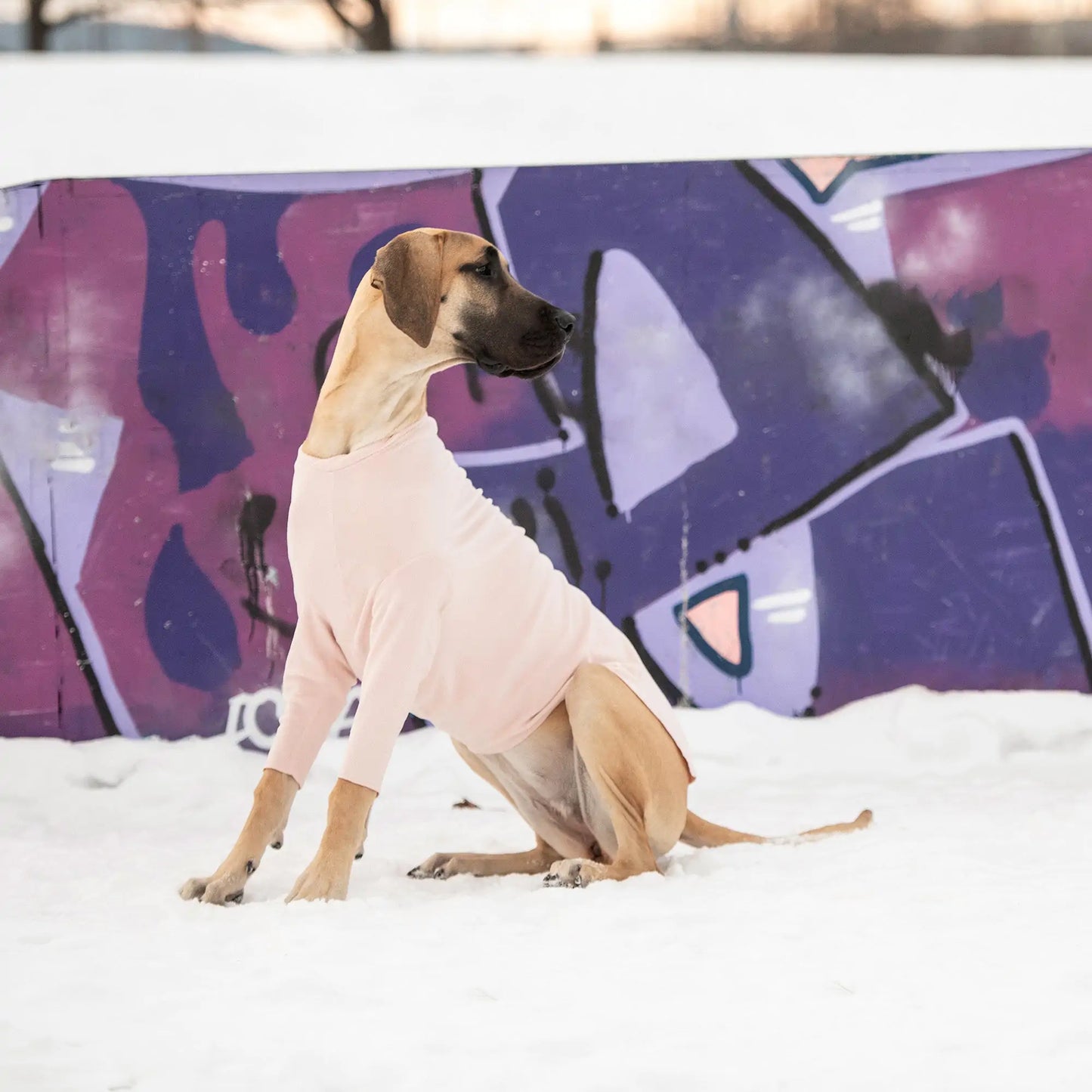 Dog Gondola Base Layer - Pink