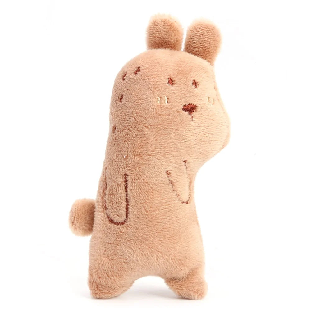 Cat Toy
