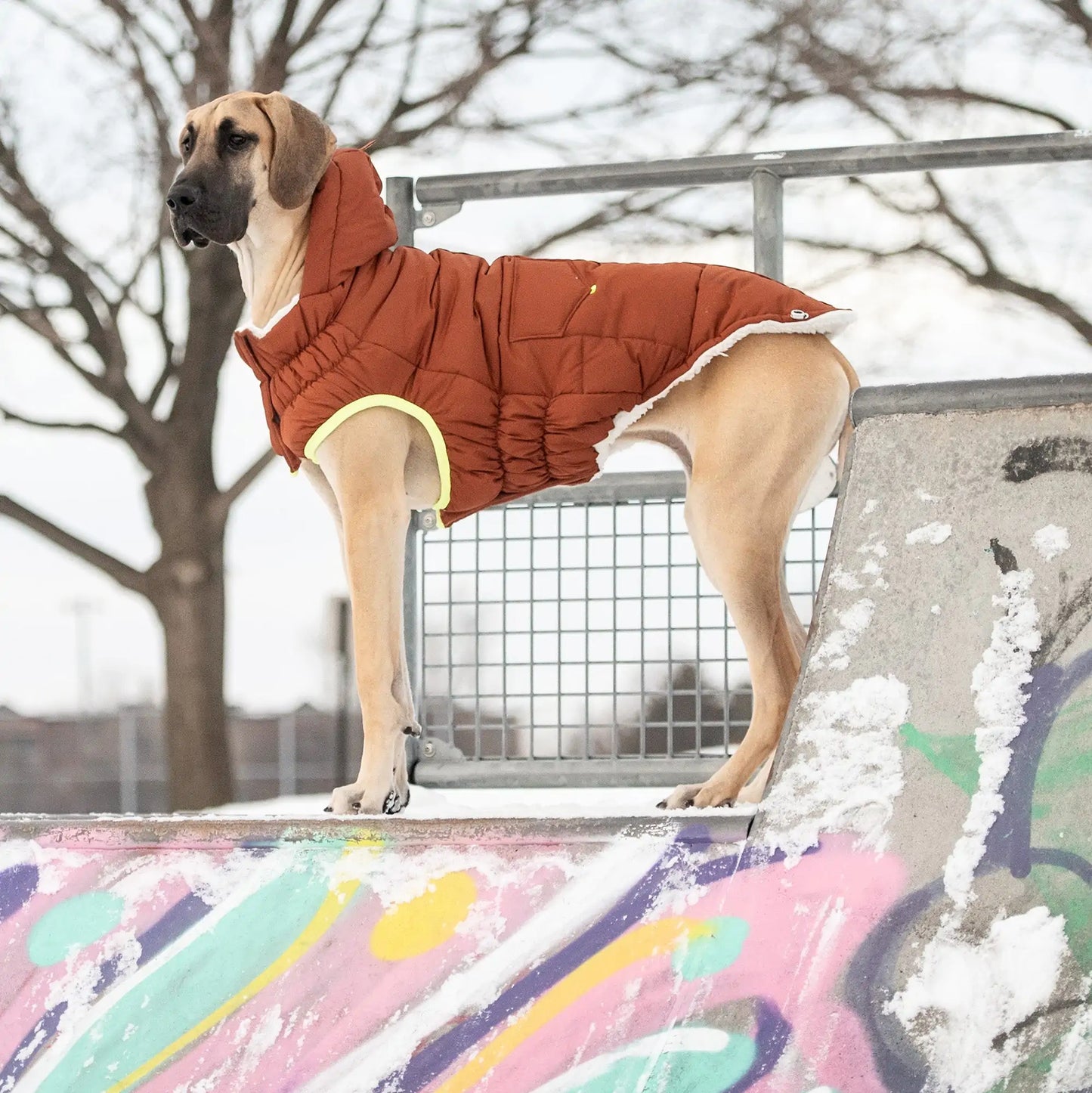 Super Puff Parka Dog Jacket - Hazel