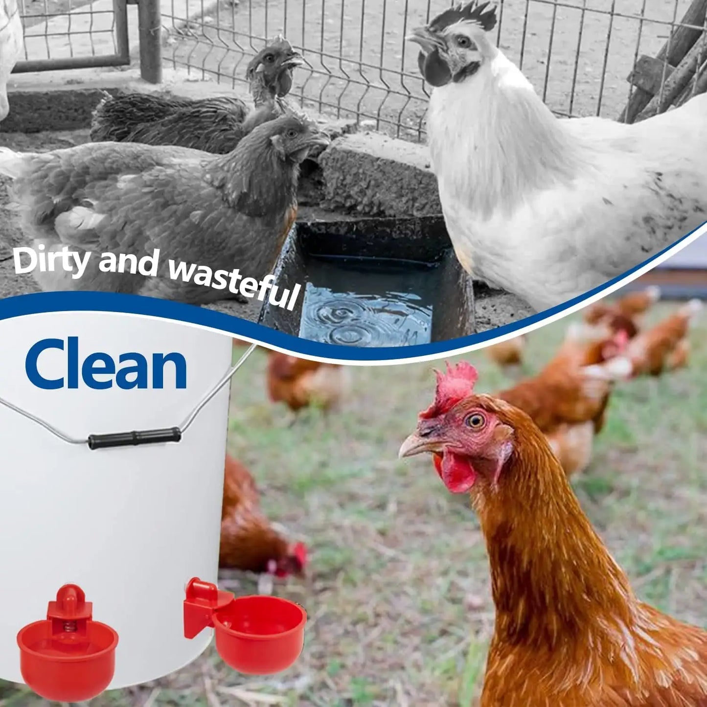 Automatic Chicken Water Cups