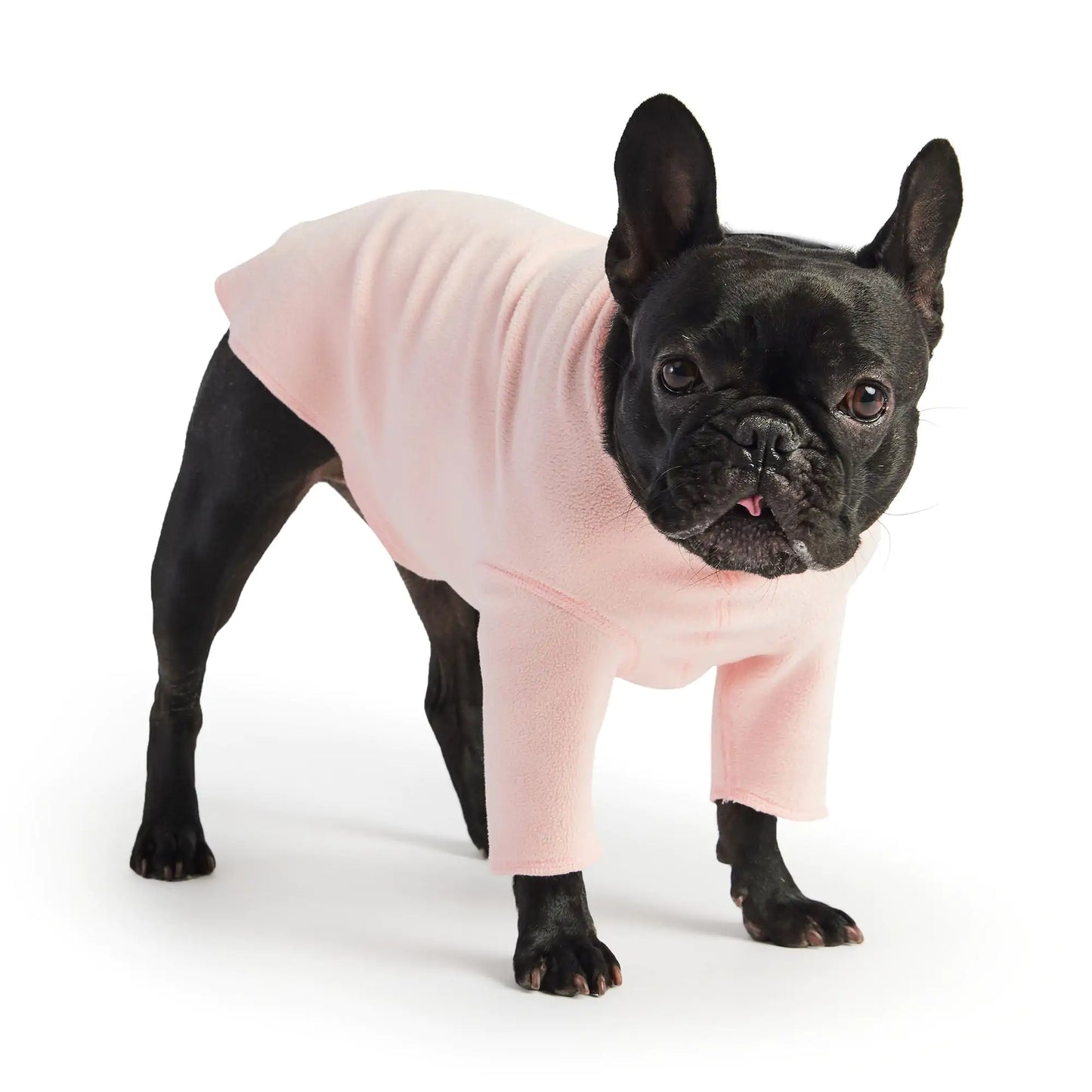 Dog Gondola Base Layer - Pink