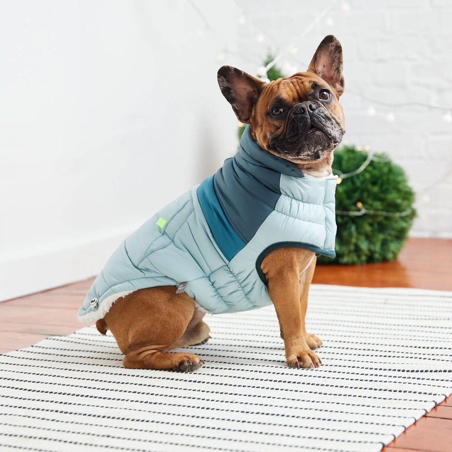Retro Puffer Dog Coat - Light Blue