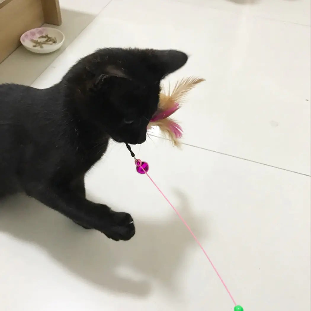 Cat Toys