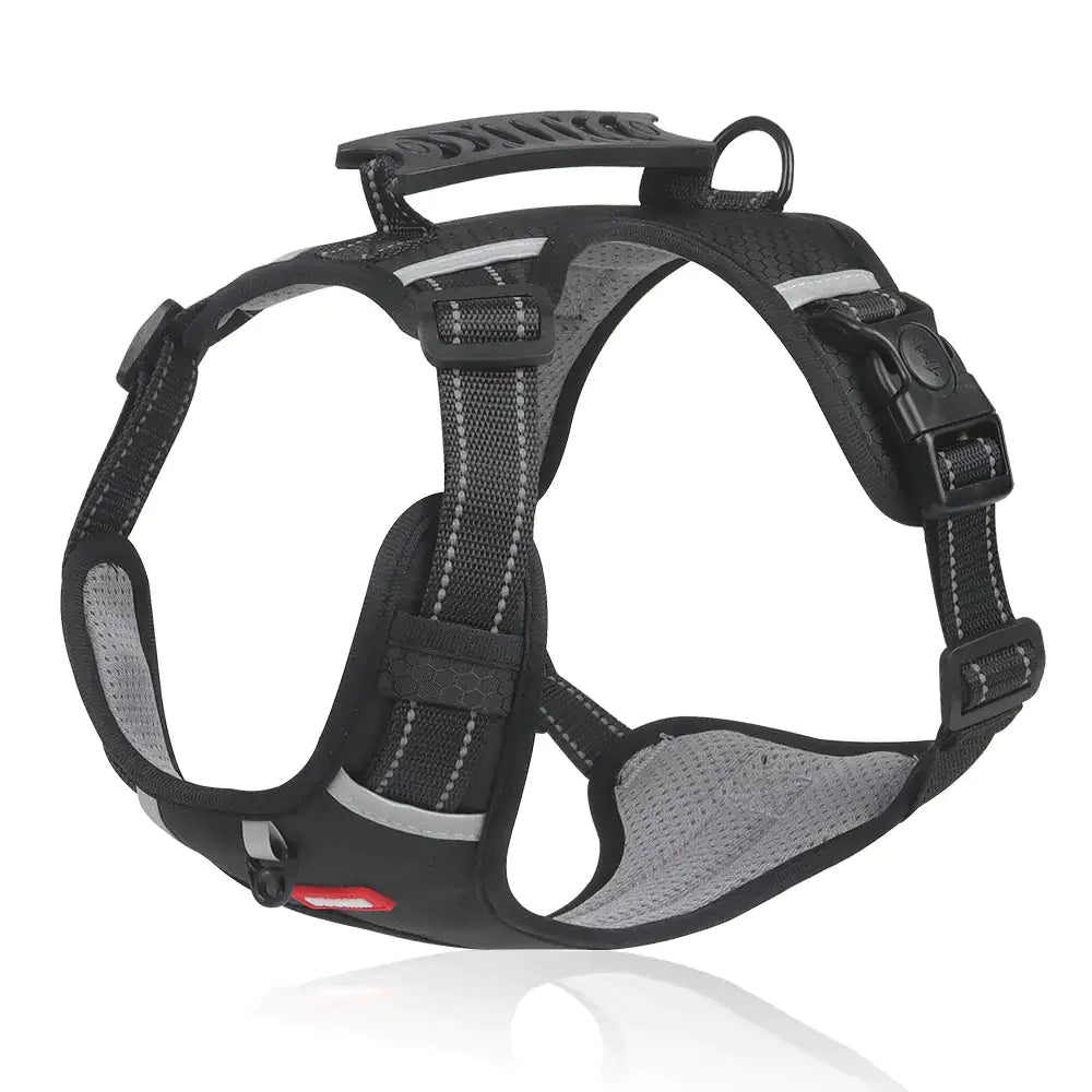 Reflectride Dog Harness