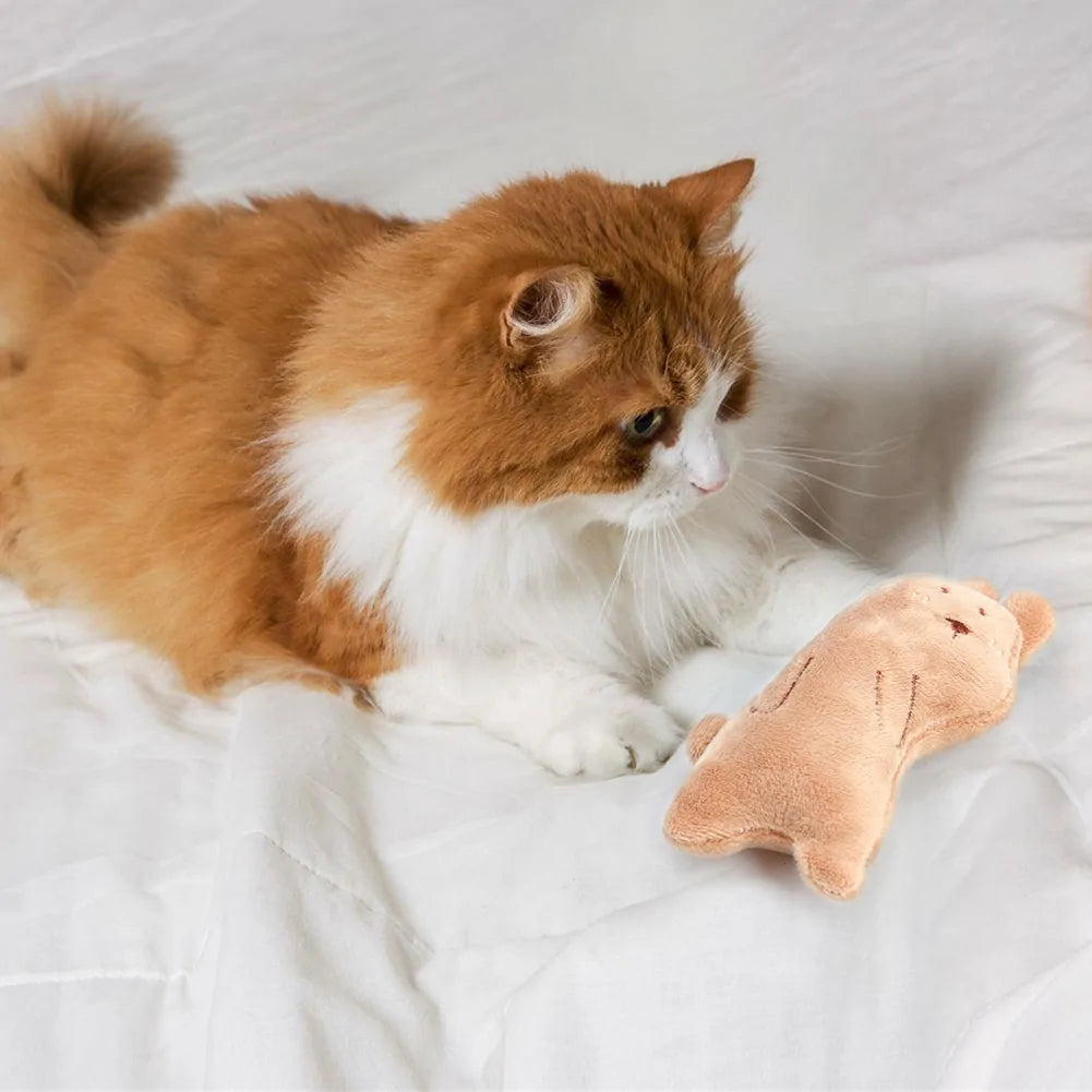 Cat Toy