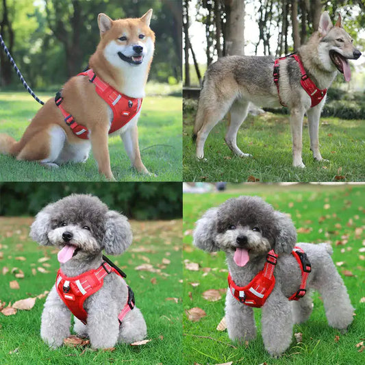 Reflectride Dog Harness