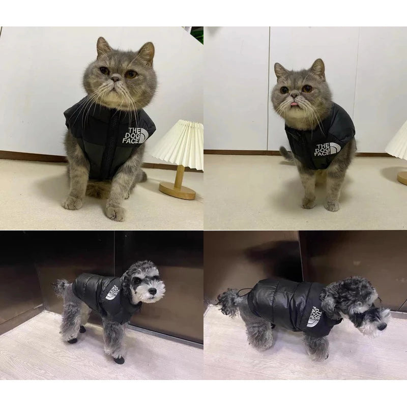 Black Dog Jacket Warm