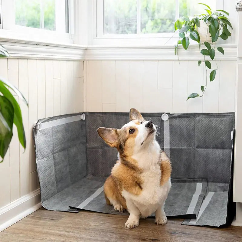 Pee Pad Holder for Dogs 2PCs
