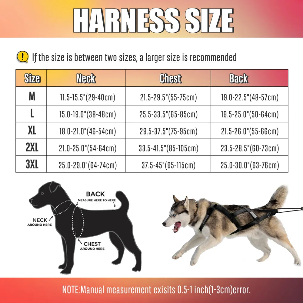 Skijoring Gear For Large Dogs Waterproof