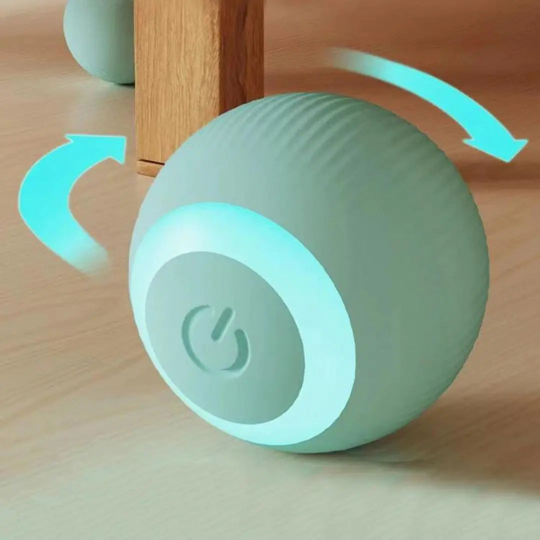 Smart Pet Toy Ball