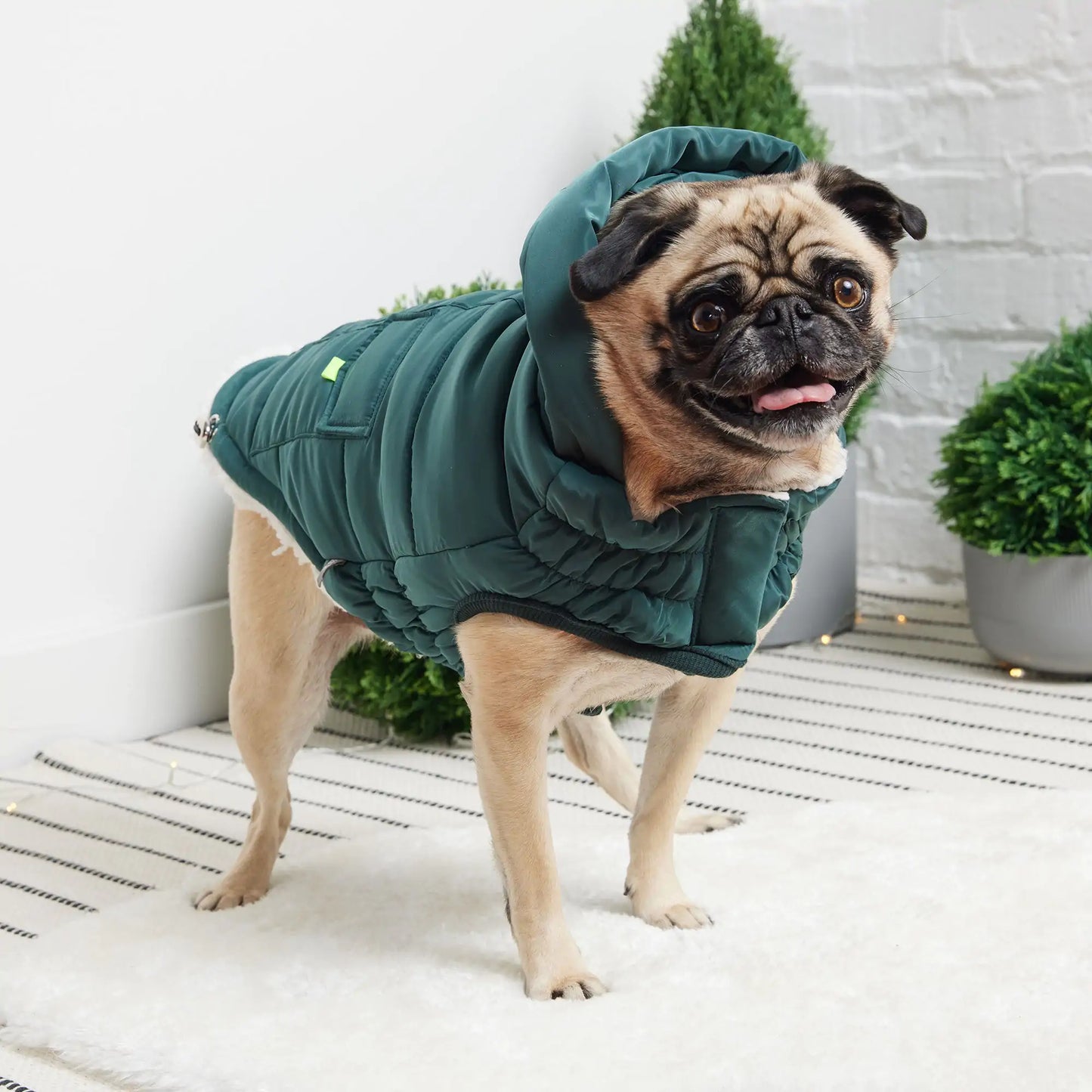 Super Puff Parka Dog Jacket - Teal